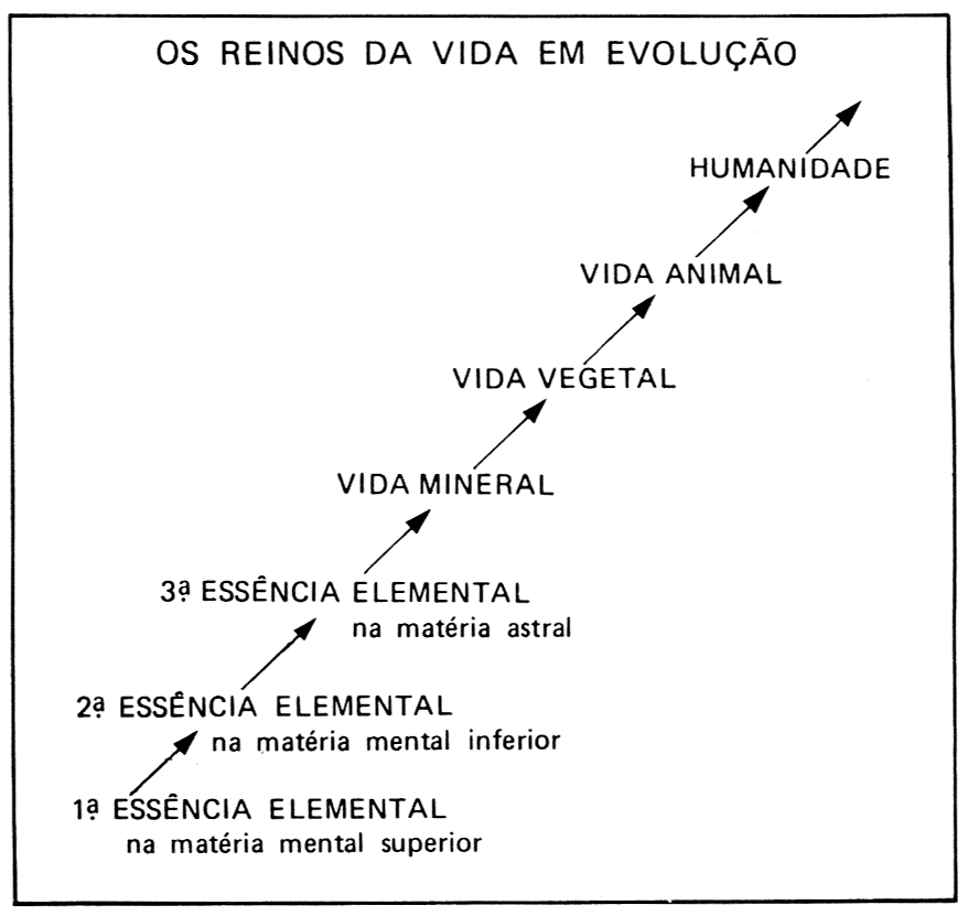 Diagrama em escada ascendente: 1ª, 2ª e 3ª Essências Elementais, seguidas de Vida Mineral, Vida Vegetal, Vida Animal e Humanidade.