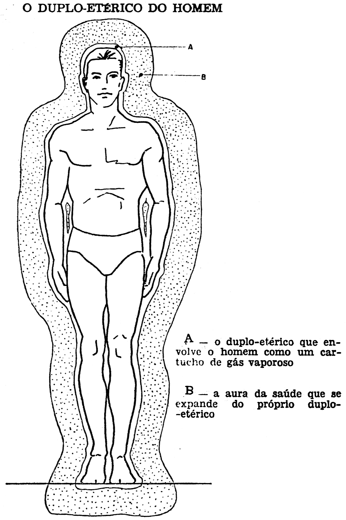 Figura humana com o duplo-etérico envolvendo o corpo (A) e a aura da saúde ao redor (B).