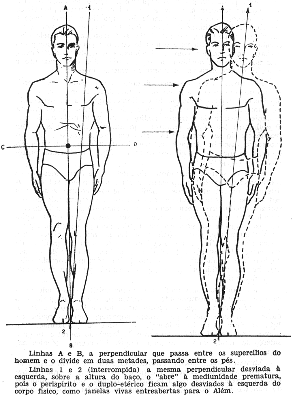 Duas figuras: numa a linha magnética vertical reta (A-B); na outra, desviada à esquerda (1-2), com o duplo-etérico deslocado.