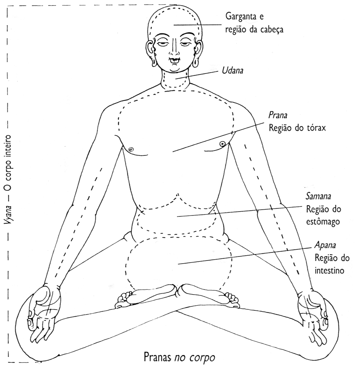 Figura sentada mostrando as regiões dos cinco pranas: Udana, Prana, Samana, Apana e Vyana.