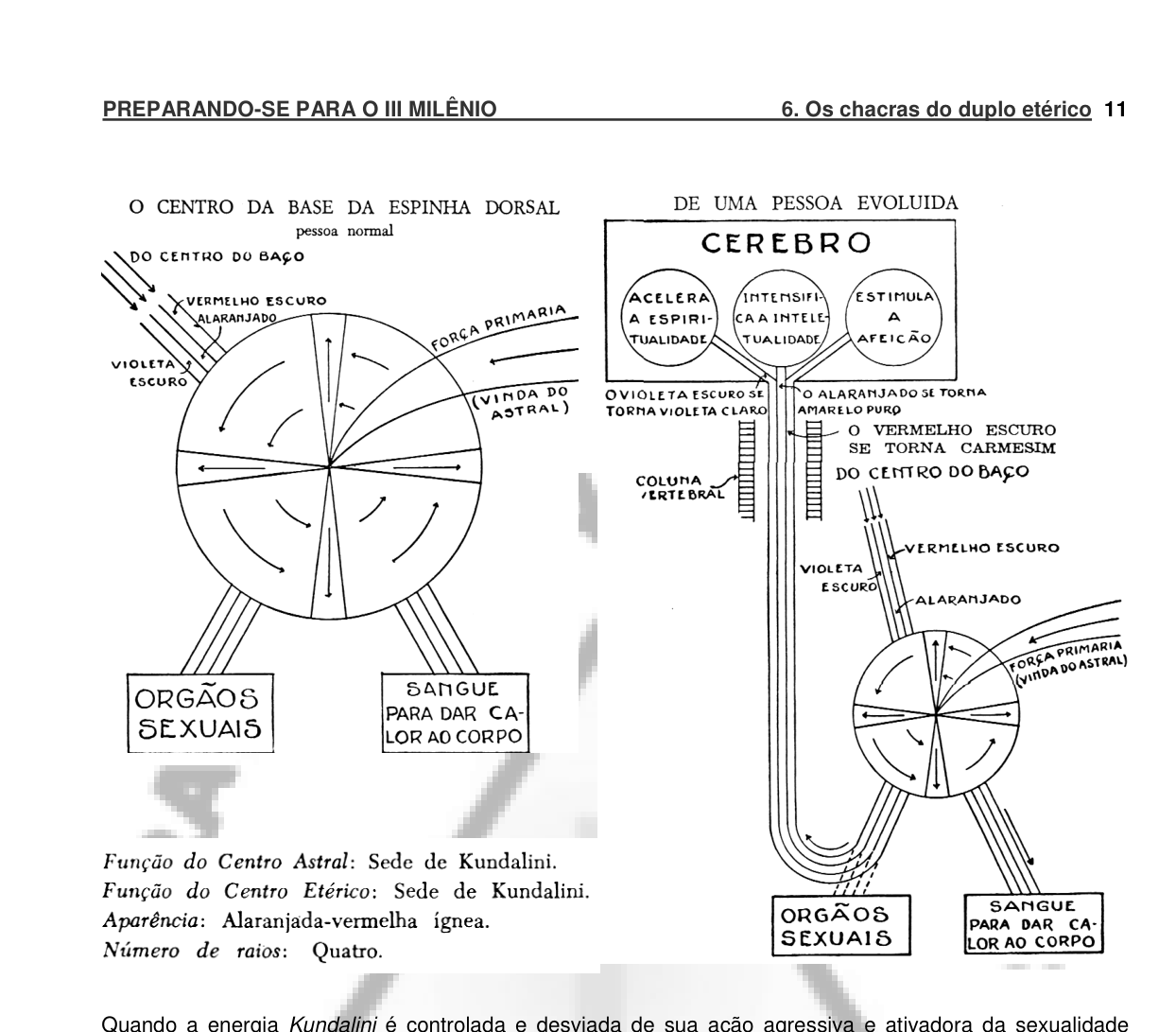 O centro básico (base da espinha dorsal), de quatro raios, e o percurso da força até o cérebro.