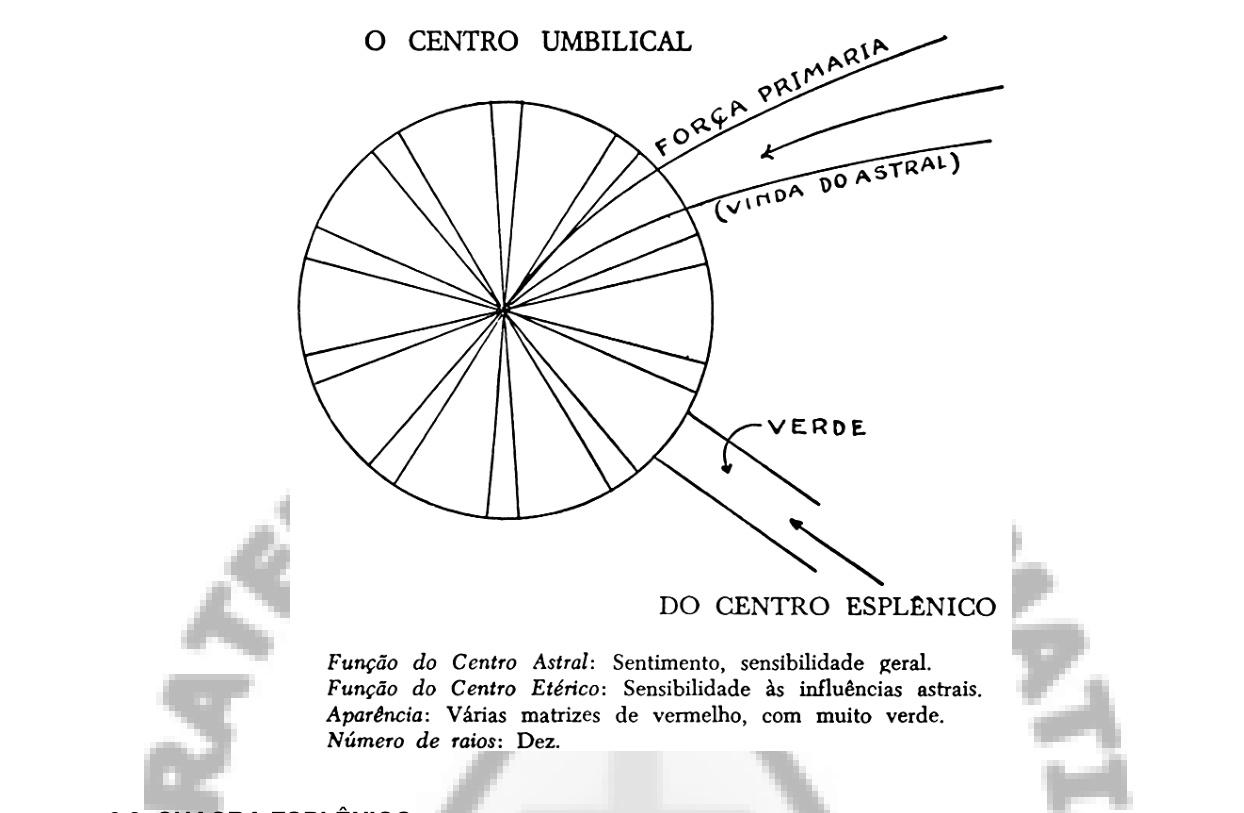 O centro umbilical, de dez raios — matizes de vermelho com muito verde.