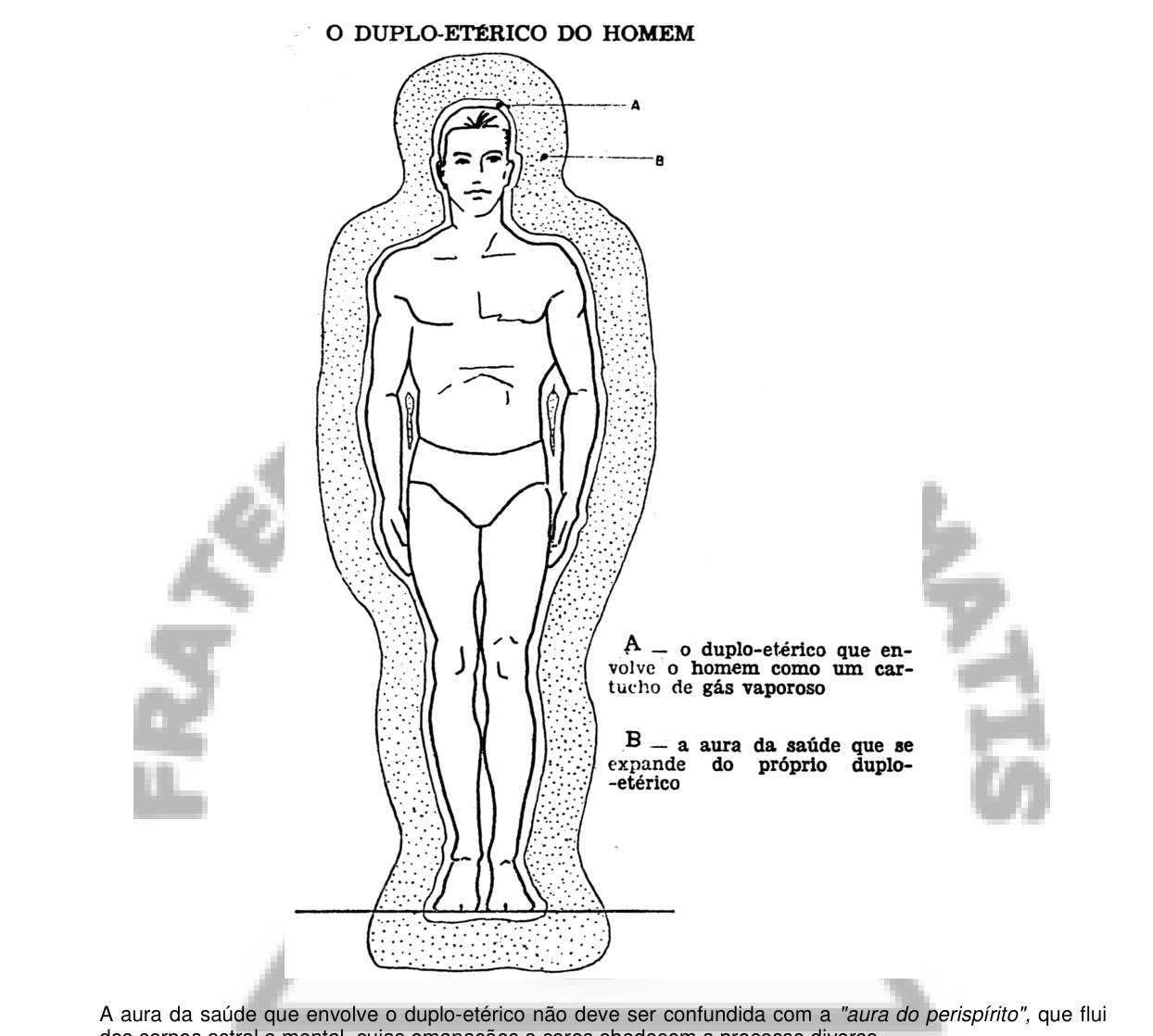 O duplo-etérico do homem: (A) envolve o corpo como um cartucho de gás vaporoso; (B) a aura da saúde.