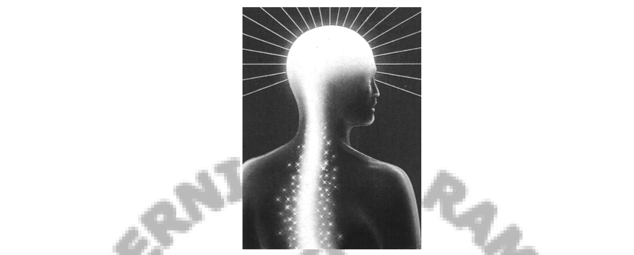 A ascensão da energia Kundalini pela coluna, ativando os centros de força.