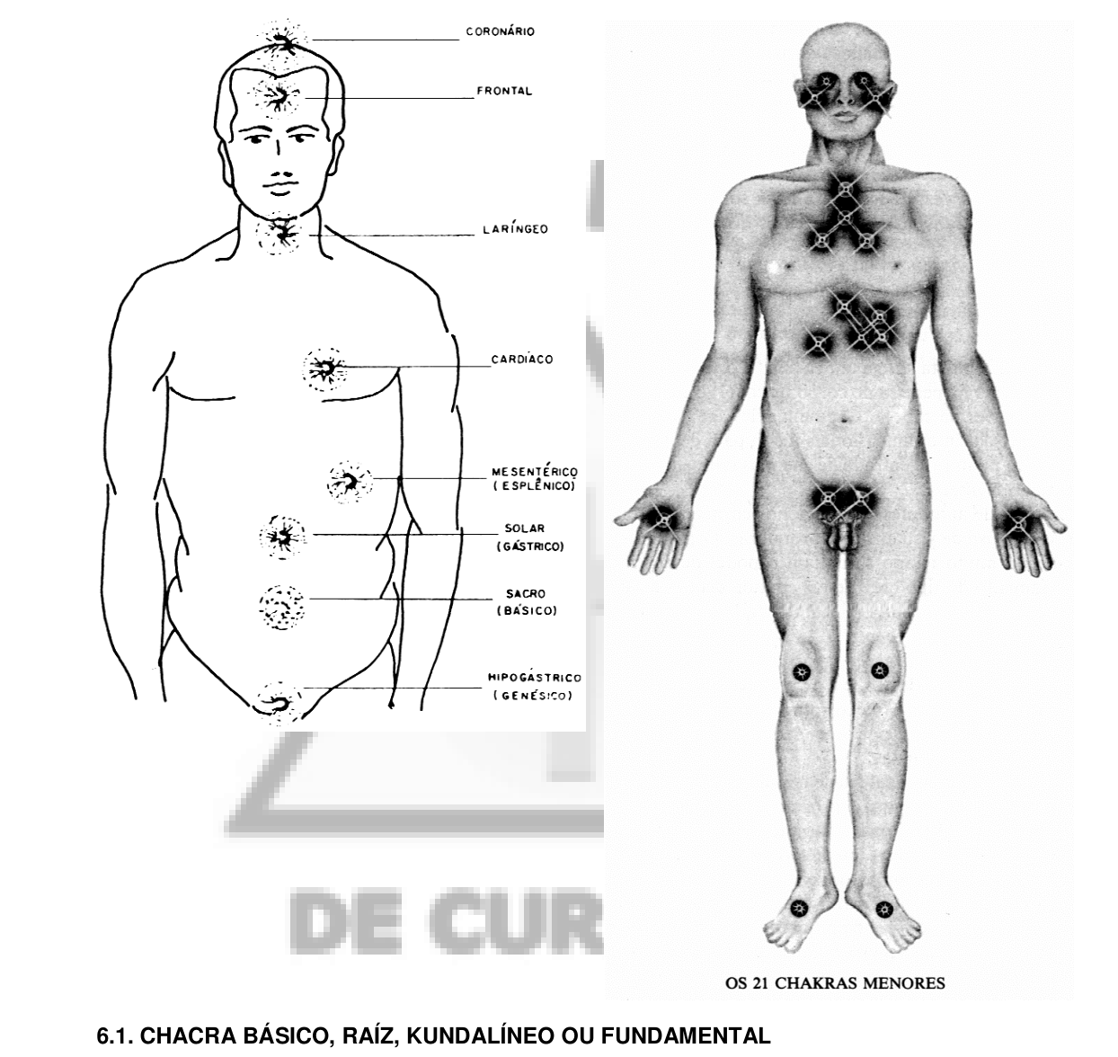 A localização dos chacras no corpo (à esquerda) e os 21 chacras menores (à direita).