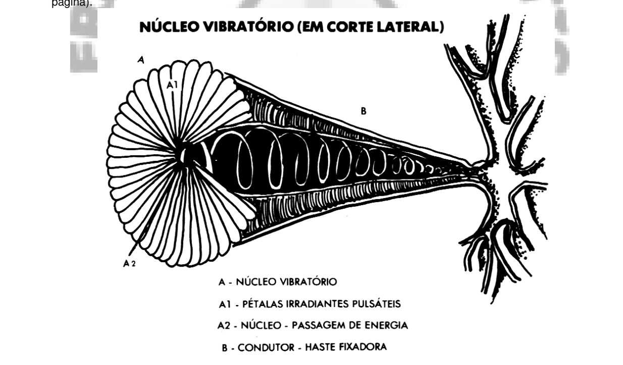 O núcleo vibratório em corte lateral: (A) núcleo vibratório, (A1) pétalas irradiantes pulsáteis, (A2) núcleo — passagem de energia, (B) condutor — haste fixadora.