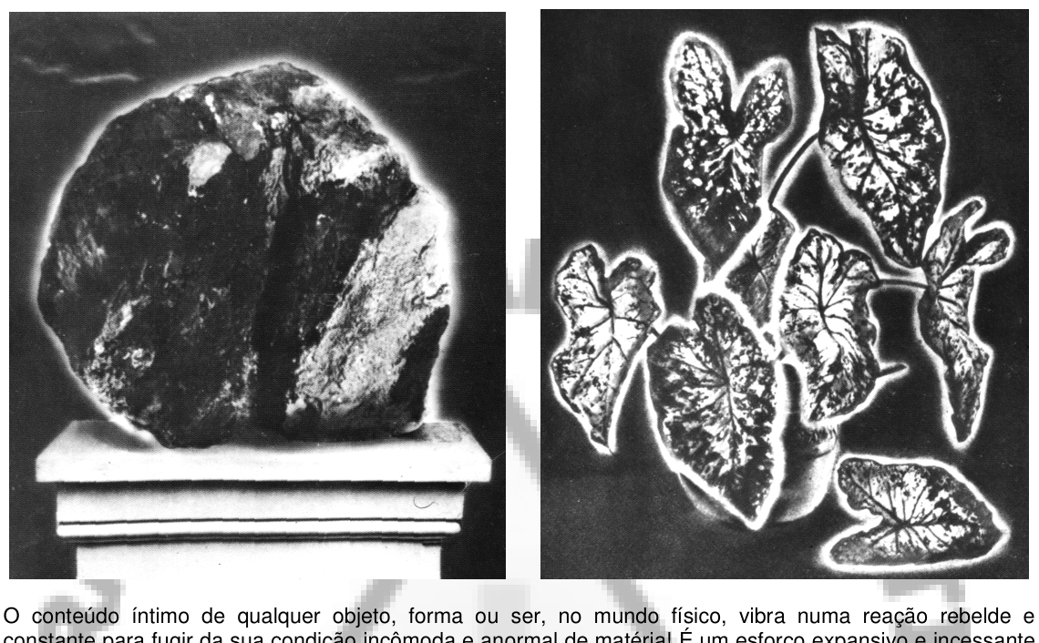 Duas imagens justapostas: um bloco mineral envolto por halo e um conjunto de folhas verdes com contornos luminosos.