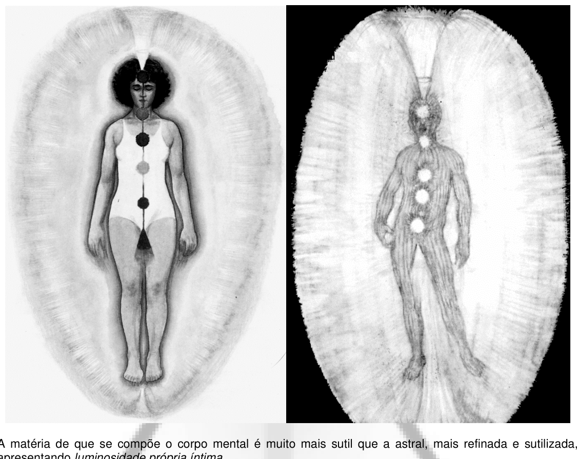 Dois ovóides lado a lado: o do corpo mental, mais sutil e luminoso, e o do corpo astral, mais denso.