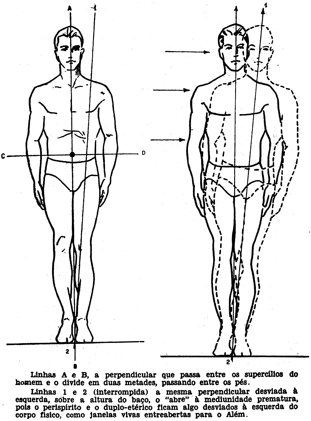Dois esquemas lado a lado: à esquerda, o homem comum com a linha perpendicular A-B passando entre os supercílios e os pés; à direita, o médium de prova com a mesma linha (1-2) desviada à esquerda, cruzando o olho esquerdo e passando pela altura do baço — o perispírito e o duplo etérico ficam deslocados em diagonal.