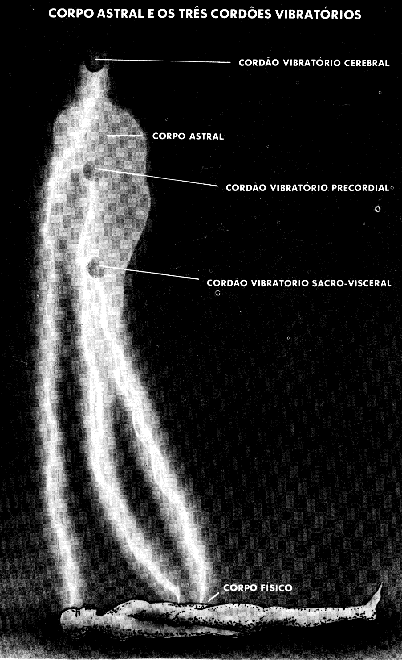 Diagrama do corpo astral exteriorizado do corpo físico durante o sono, ligado a ele por três cordões vibratórios: cerebral, precordial e sacro-visceral.