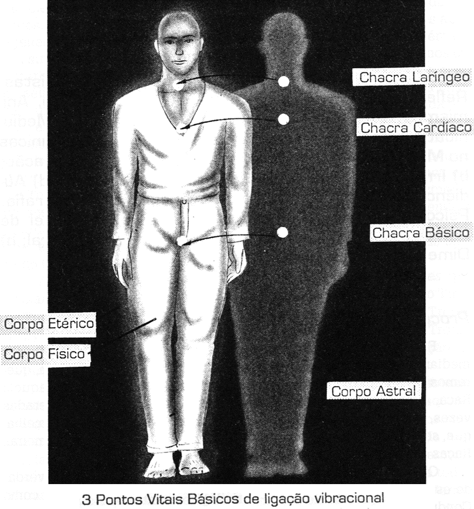 Diagrama dos três pontos vitais básicos de ligação vibracional entre o corpo físico, o corpo etérico e o corpo astral: chacras laríngeo, cardíaco e básico.