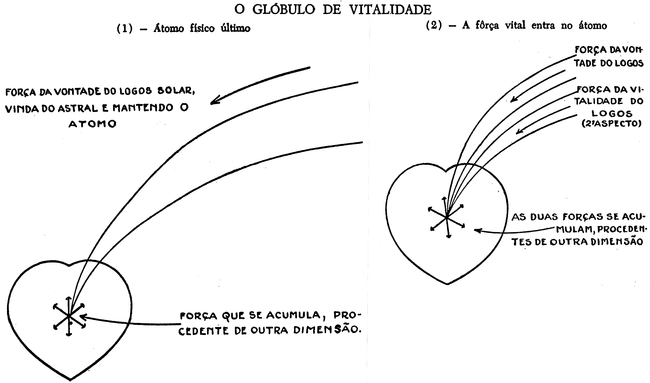 Diagrama do glóbulo de vitalidade: átomo físico atraindo outros átomos pela força da vontade do Logos Solar e pela força vitalidade do Logos.