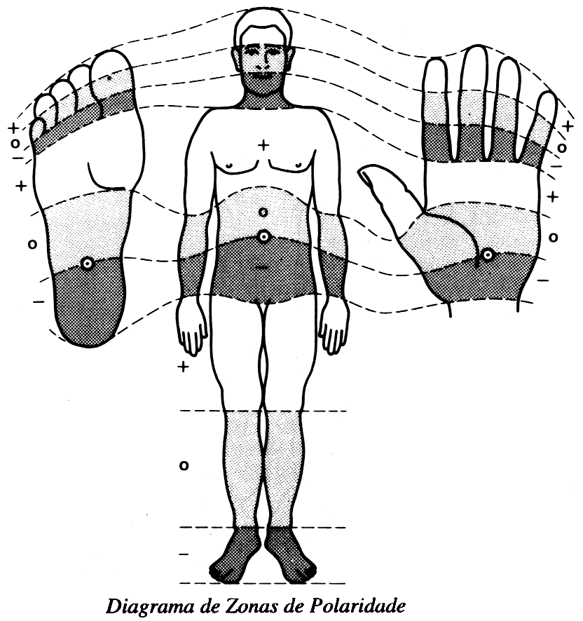 Diagrama do corpo humano de frente, com indicações de zonas positivas (+) e negativas (−) nas mãos, pés e tronco, e imagens de palmas das mãos vistas separadamente.